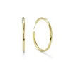 Medium Faceted Hoop Earrings