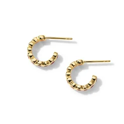 Mini Starlet Hoop Earrings